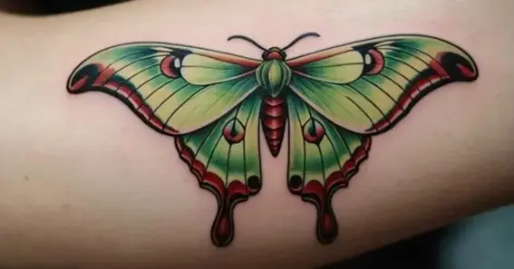 What Is Moth Tattoo Meaning