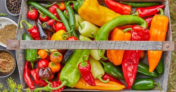 Getting Hot And Taking The Tops Off The Peppers