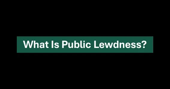 What is Public Lewdness