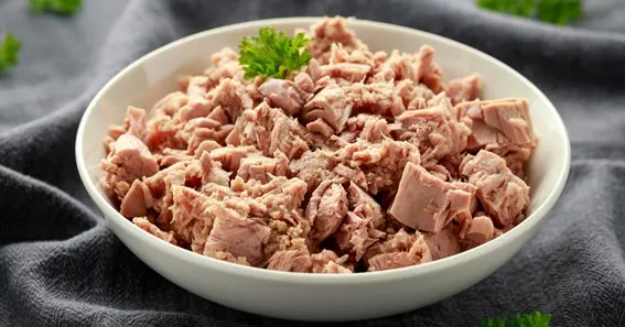 Nutritional Benefits Of Tuna For Dogs