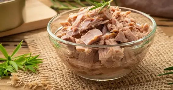 Nutritional Benefits of Tuna for Dogs