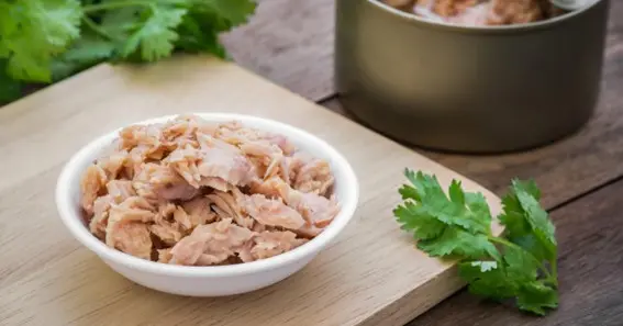 is canned tuna good for dogs